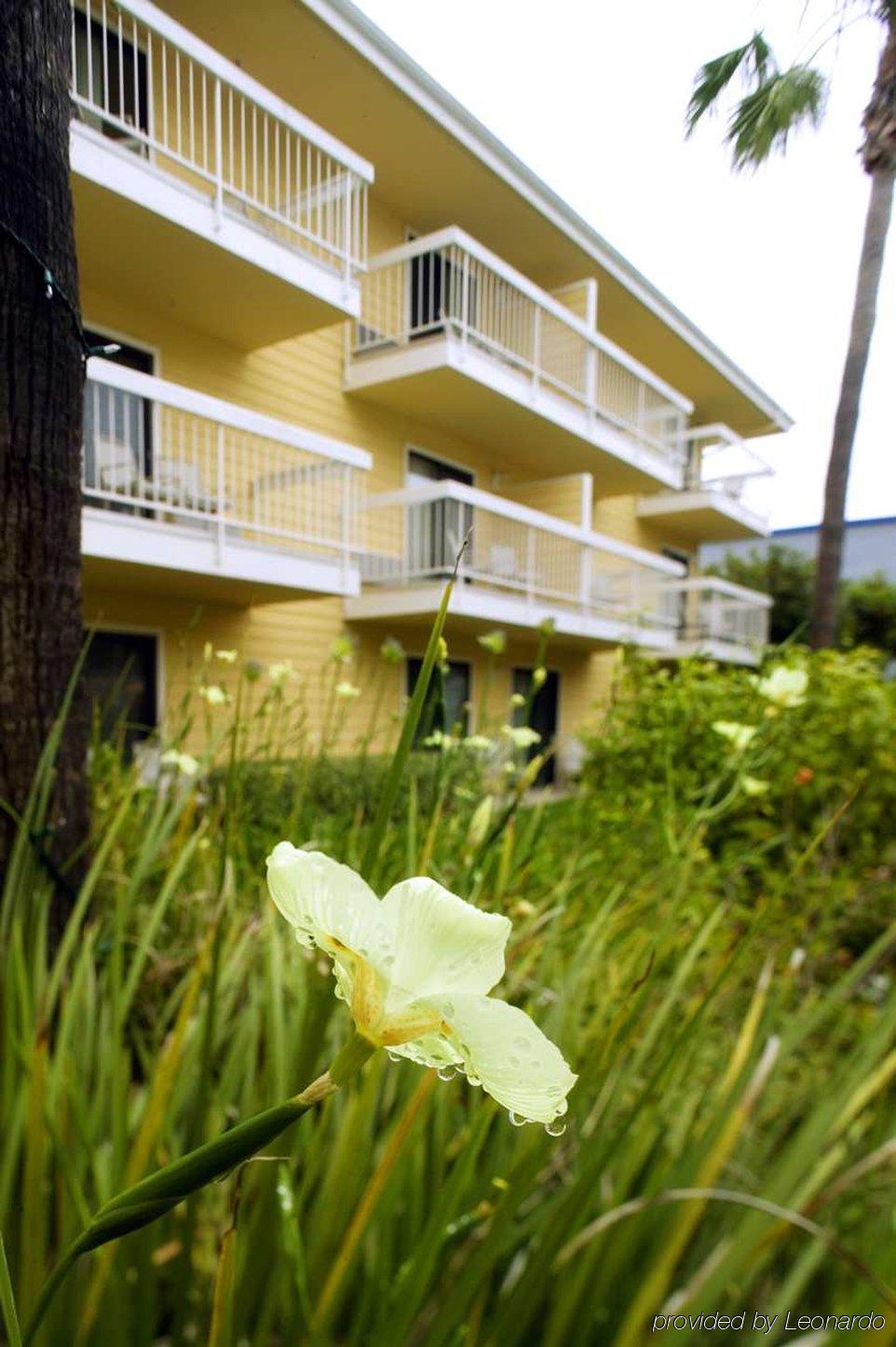 Four Points By Sheraton San Diego - Sea World Pokój zdjęcie