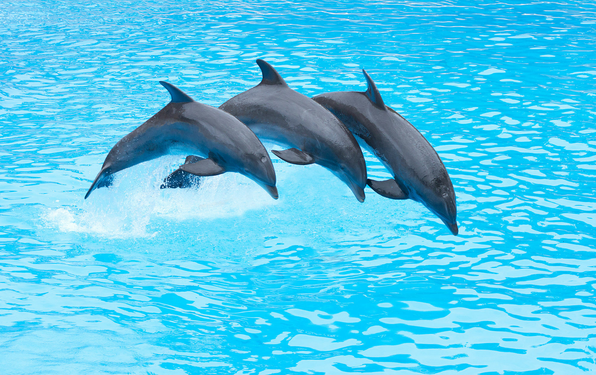 Four Points By Sheraton San Diego - Sea World Zewnętrze zdjęcie